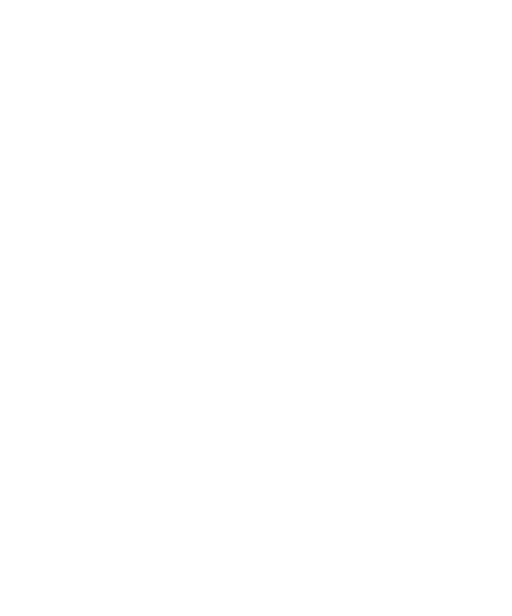 Le Maschere